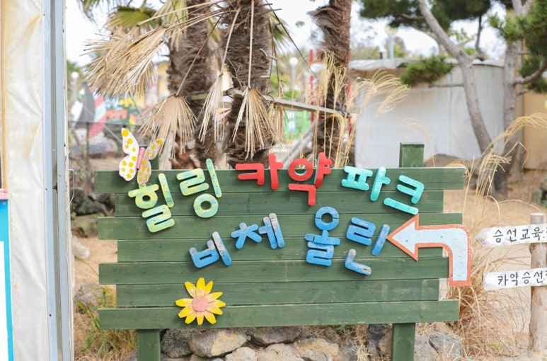 비체올린 이미지