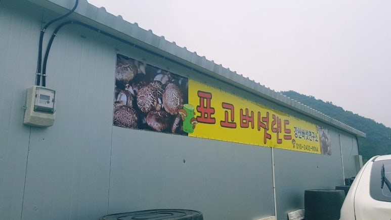 강산머쉬랜드 이미지
