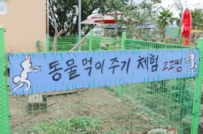 비체올린 이미지