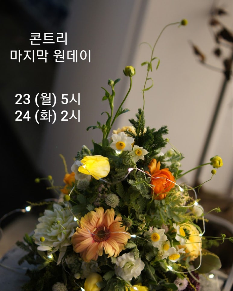 테오플라워카페 이미지