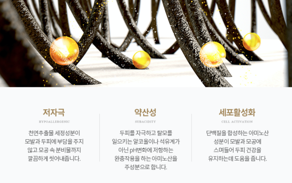 세정토탈솔루션 이미지
