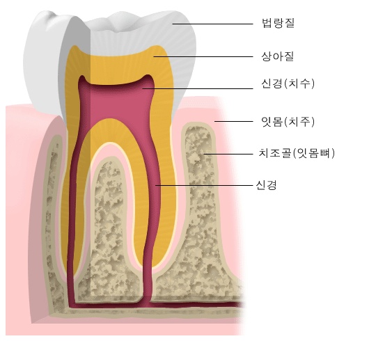 공감백치과 이미지