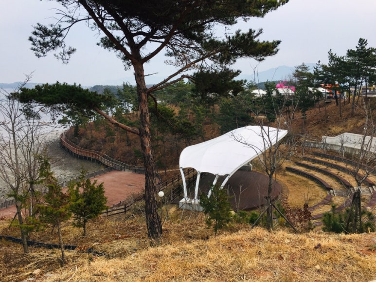 비토랑굴구이 이미지