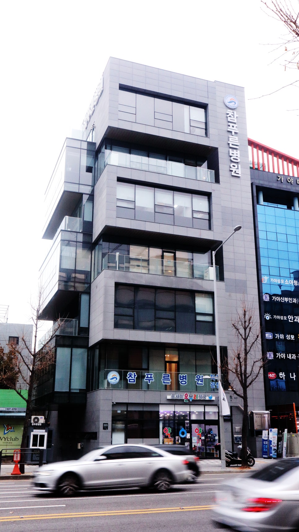푸른참 이미지
