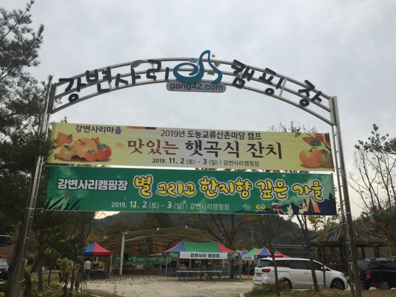강변사리 이미지