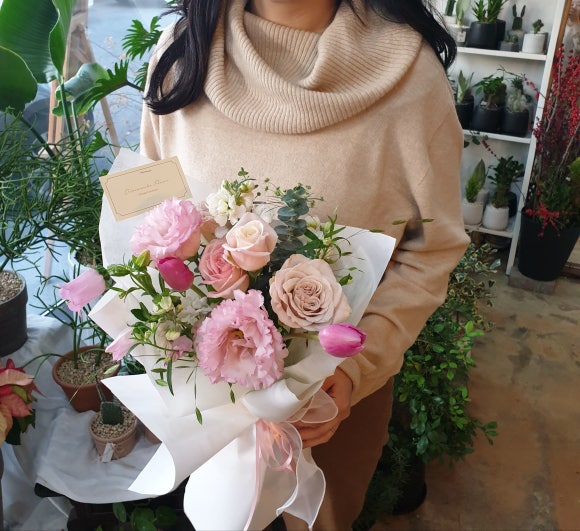 디망쉬플레르 이미지