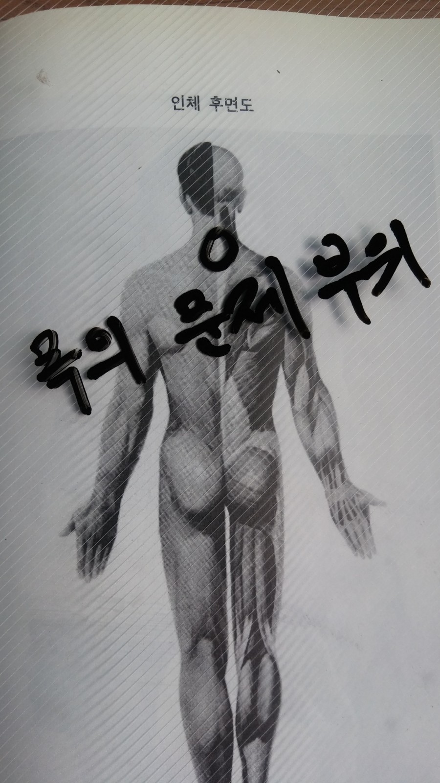 약명 이미지