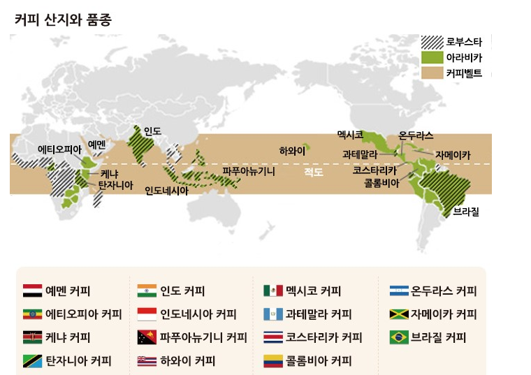 틴커피 이미지