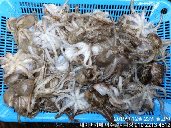 베짱이피싱 이미지