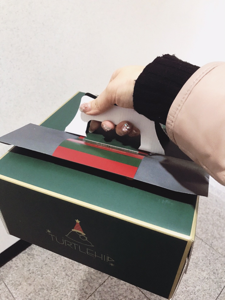 터틀힙 사진 4