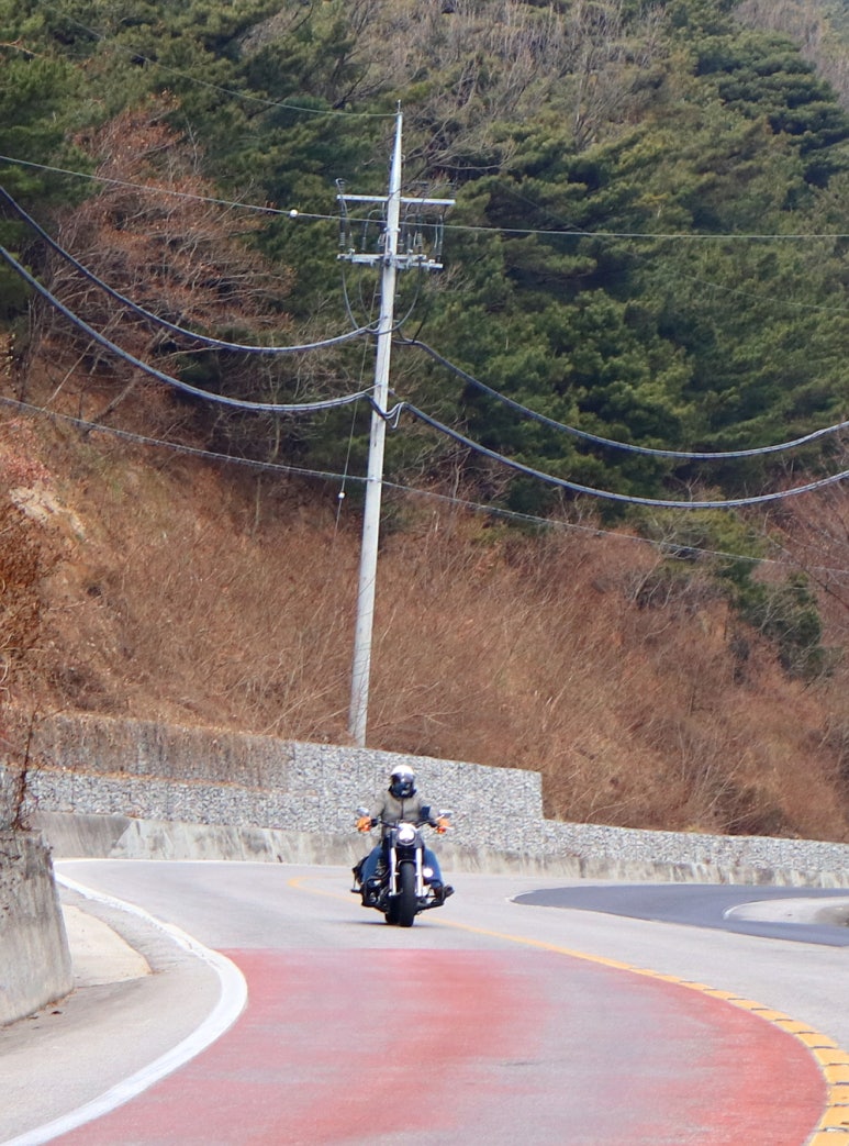 오리정 이미지