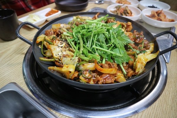 오리와돼지 이미지