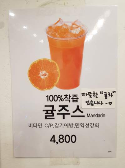 카페트리커피나무 이미지