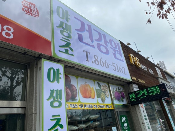 야생초 건강원 이미지