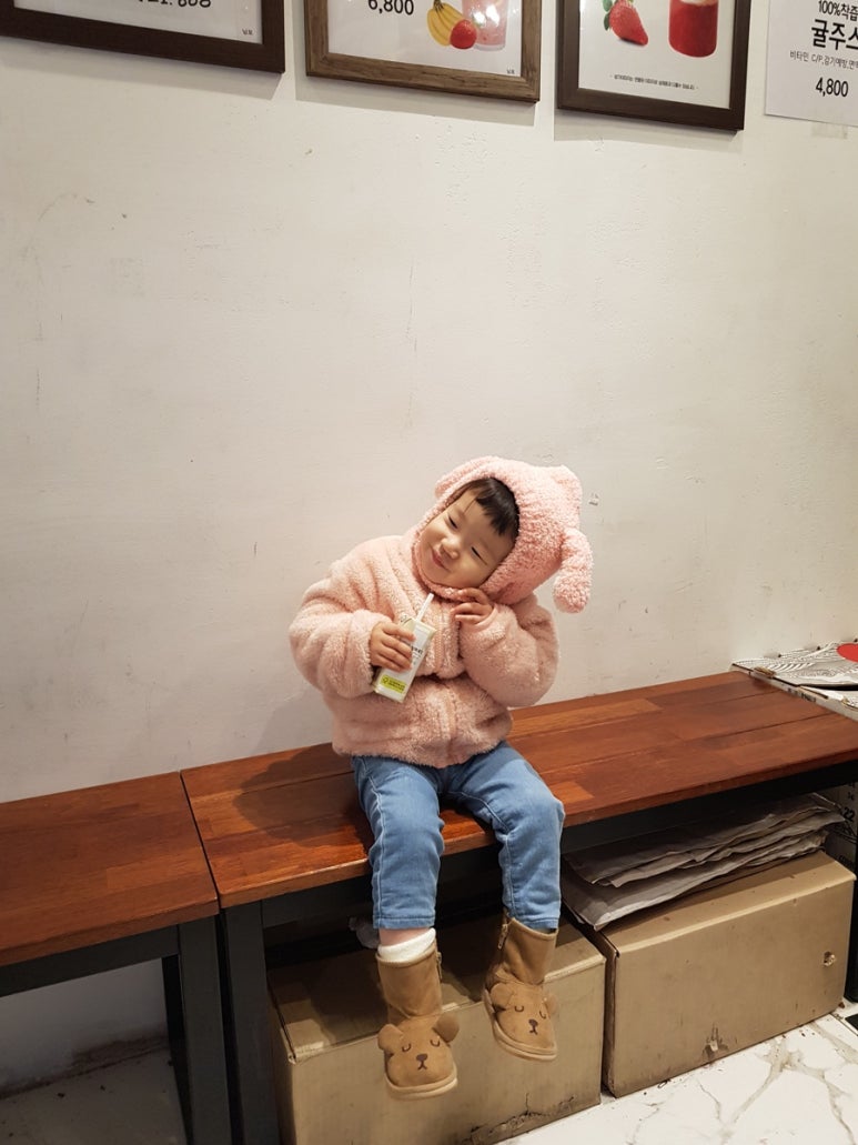 카페트리커피나무 이미지