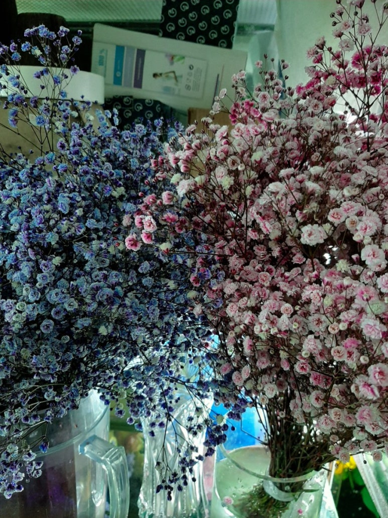 소담꽃방 이미지