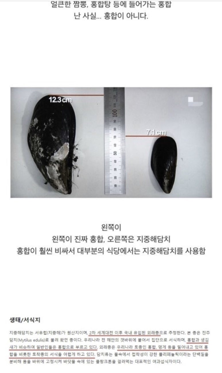경포정육점식당 이미지