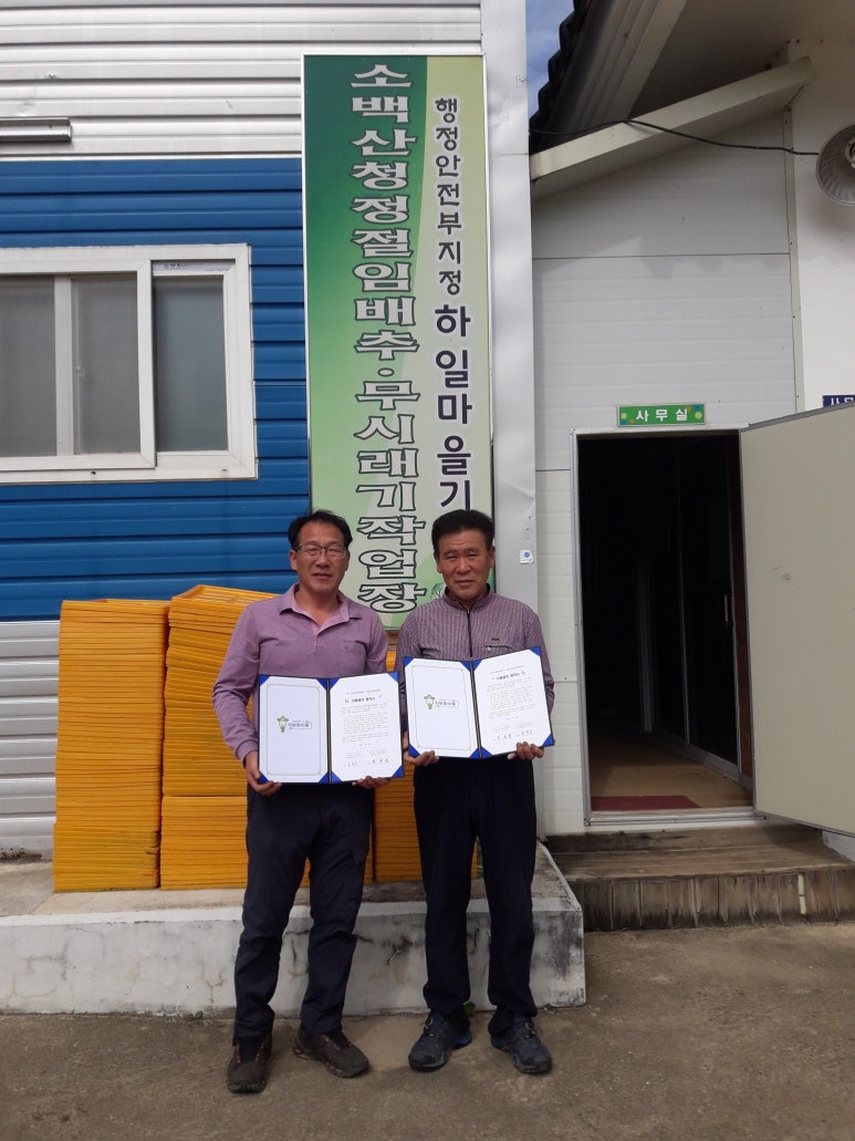법인소백산마을 이미지