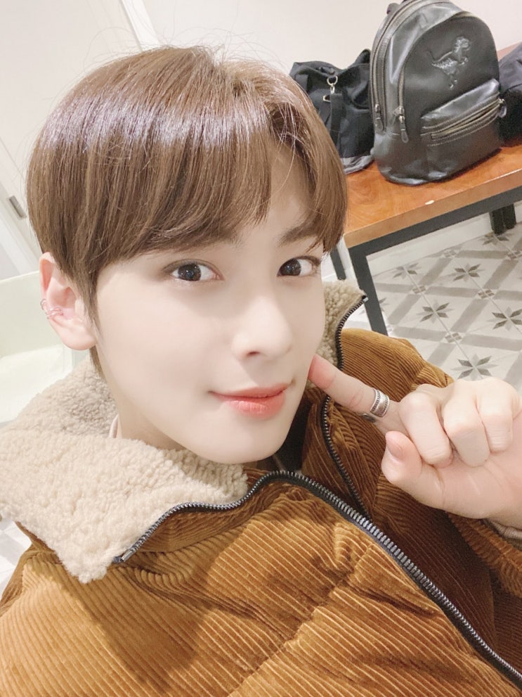 브라운베어 이미지