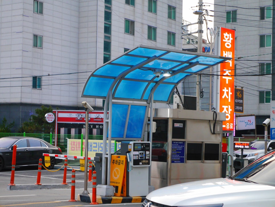 미스터피자경기광주점 이미지
