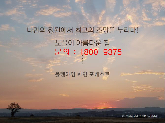 블렌하임 이미지