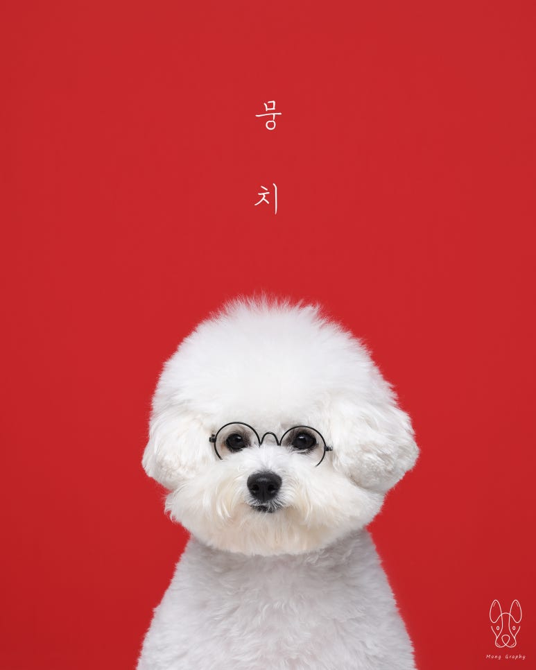 몽그라피 이미지