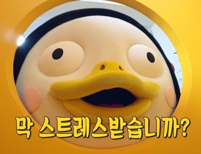 이그녹스 이미지