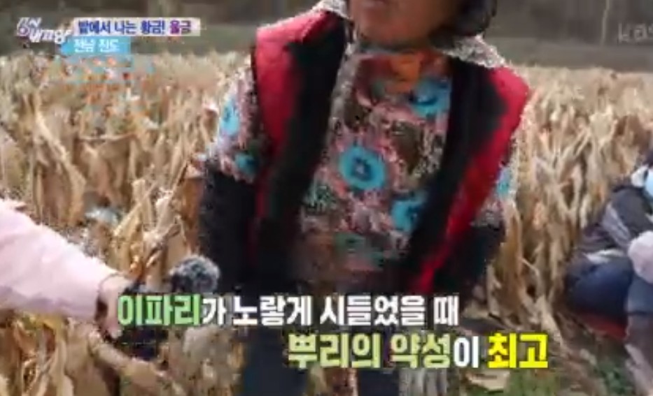 (주)진도울금 이미지