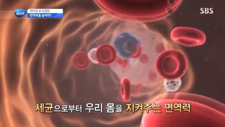 일죽스포렉스 이미지