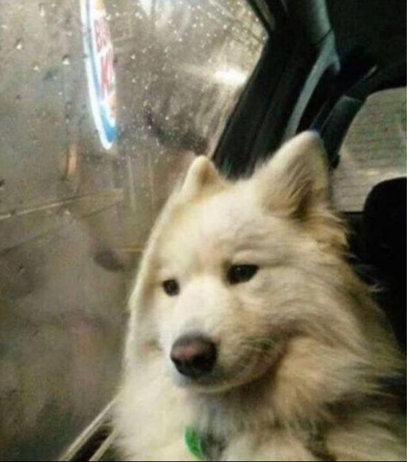 드로잉룸 이미지