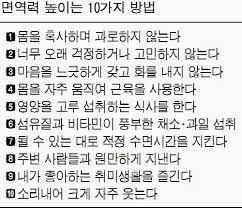 일죽스포렉스 이미지