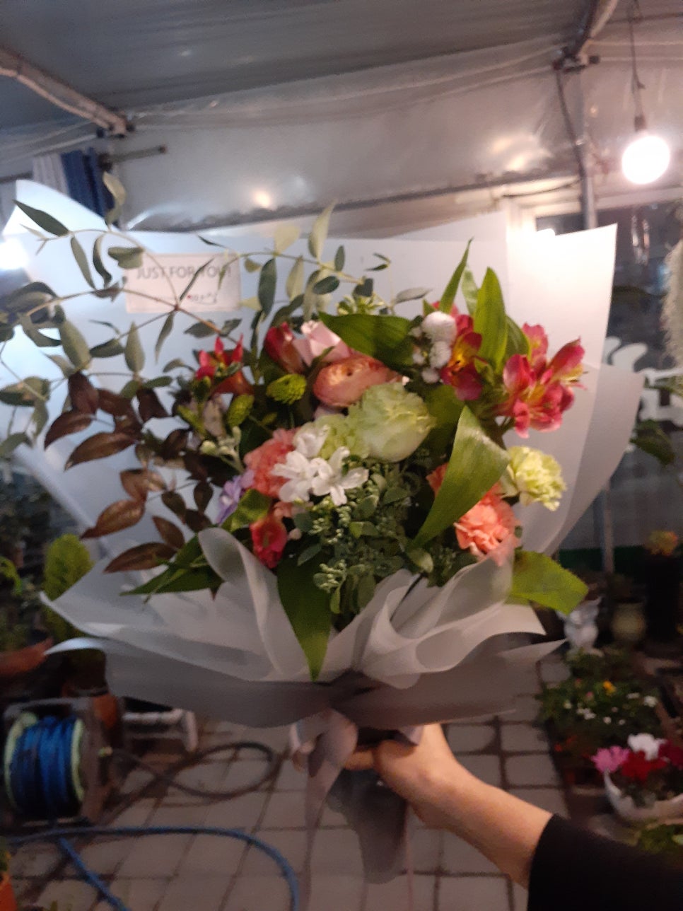 봉당너머꽃마실 이미지
