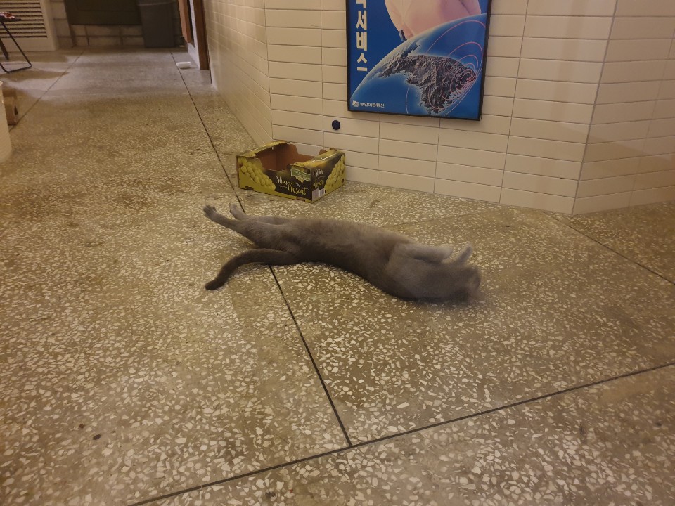 아트호스텔 이미지
