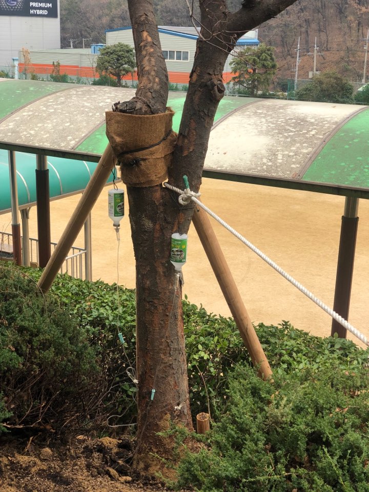 구덕고등학교 이미지