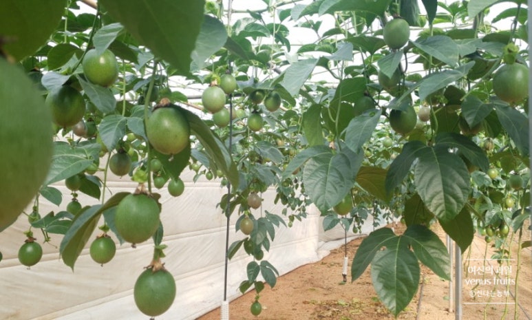 (주)함초롱 이미지