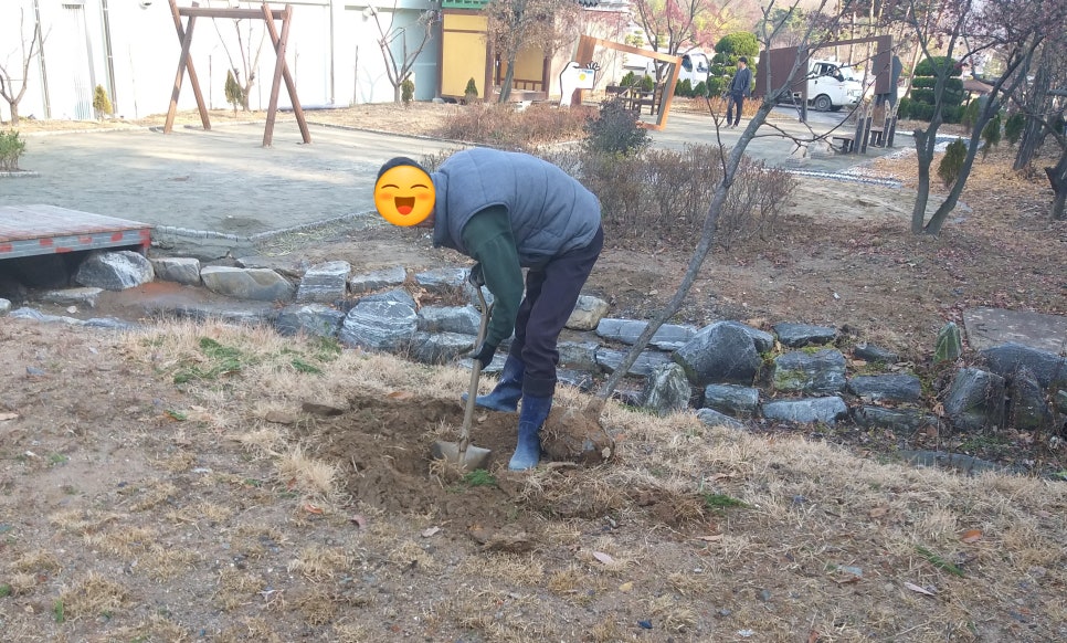 솔로몬마트 이미지