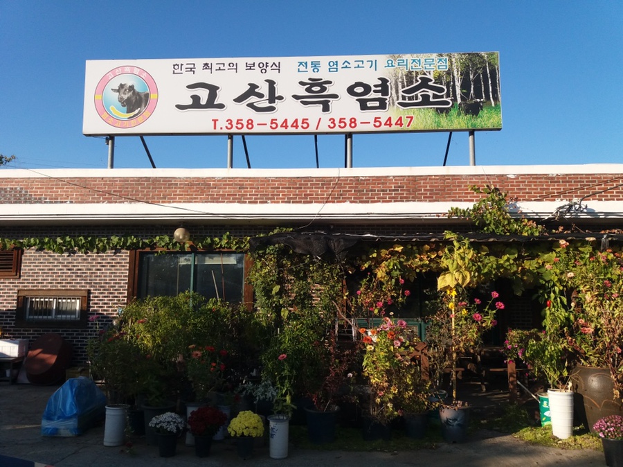 고산흑염소 이미지