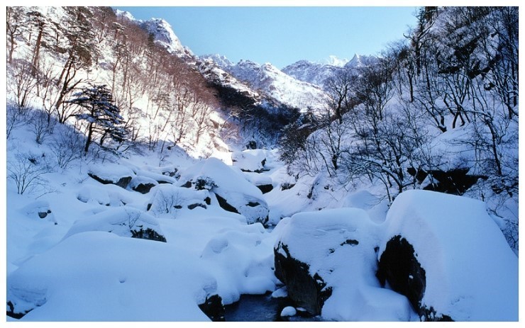 오토오아시스청주영운점 이미지