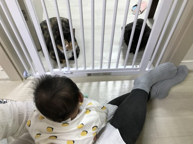 에이플러스케어 이미지