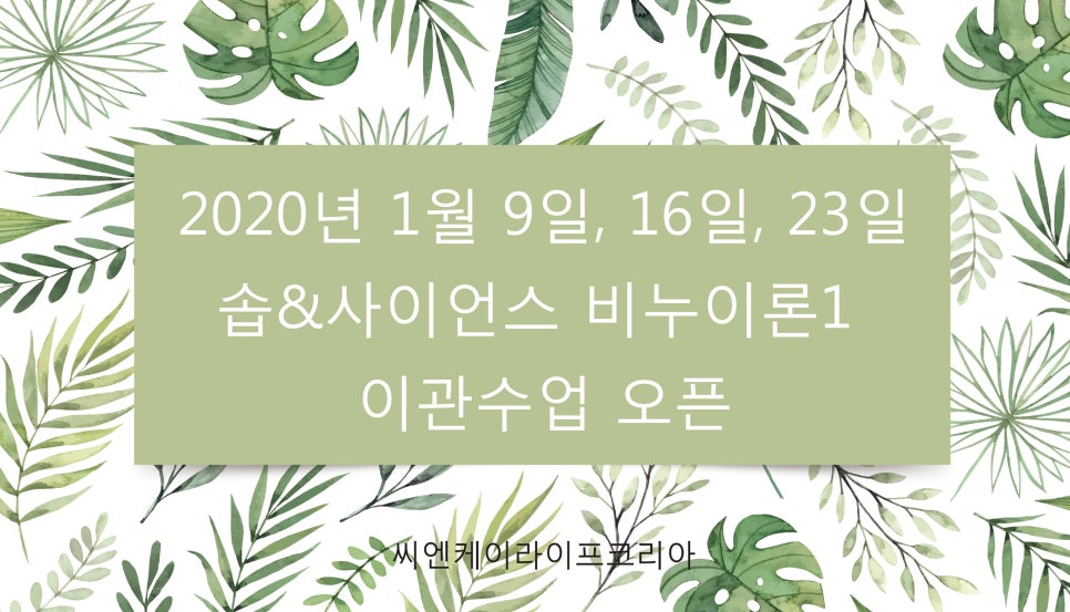 씨엔케이정보 이미지