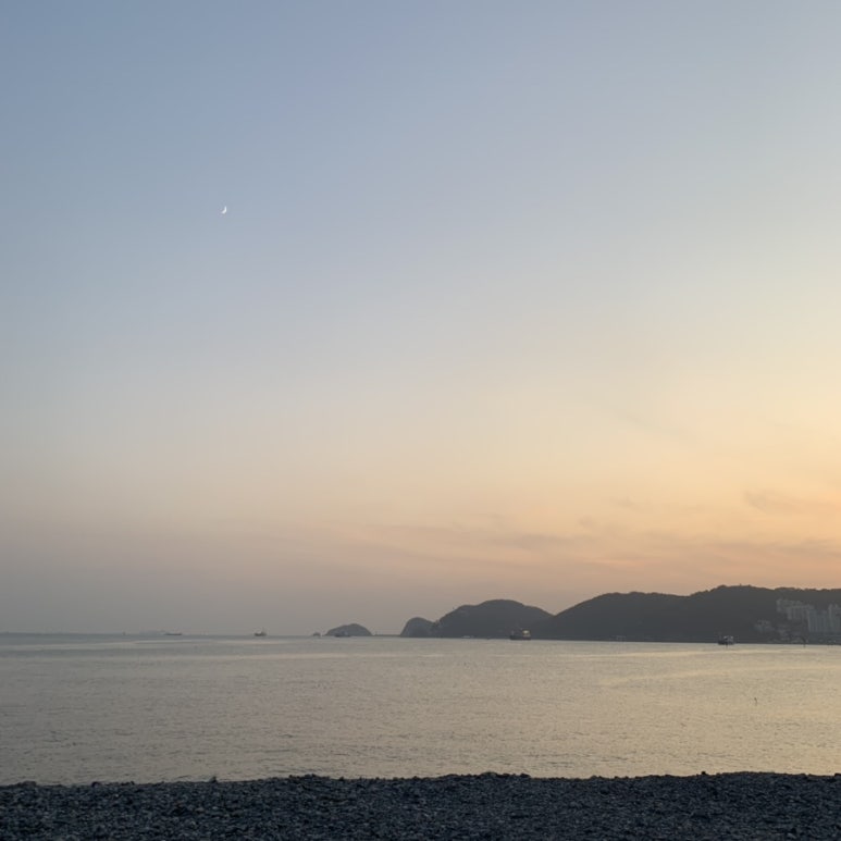기장복국 이미지