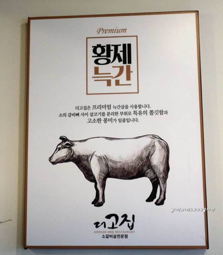 더고집 이미지