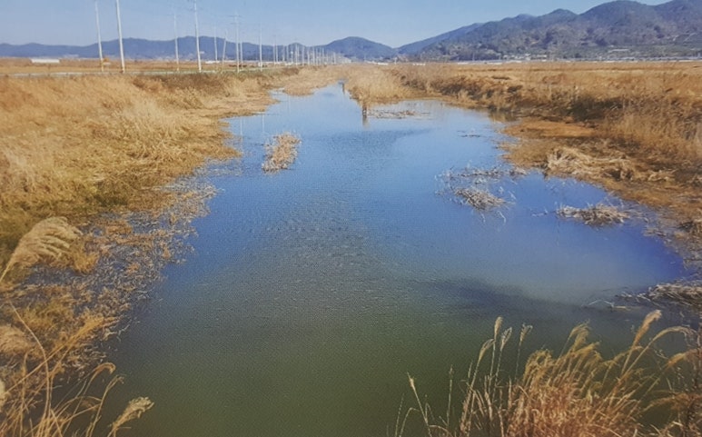고흥 당두교차로1 이미지