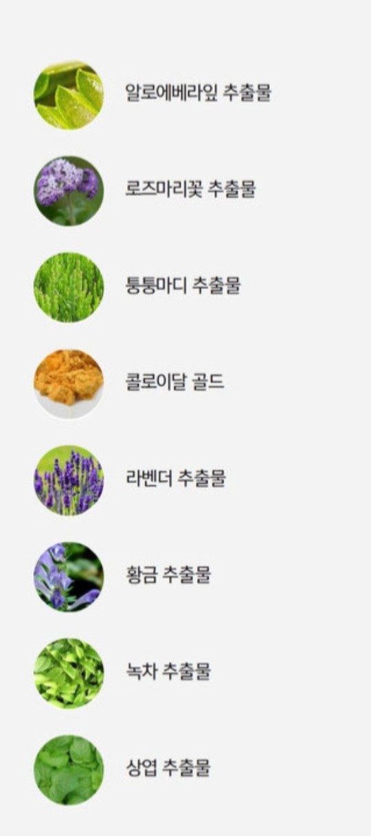 골드코스매틱 이미지