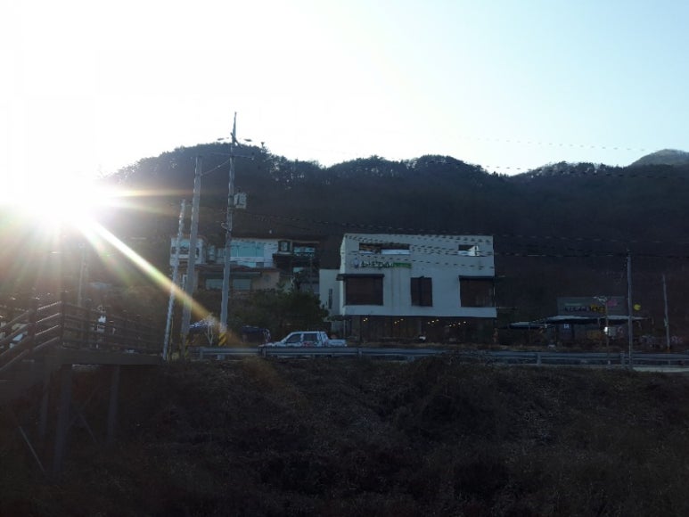 장찬리소나무갤러리 이미지
