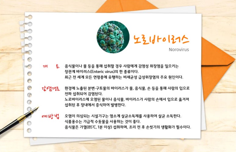 벨킨스 이미지