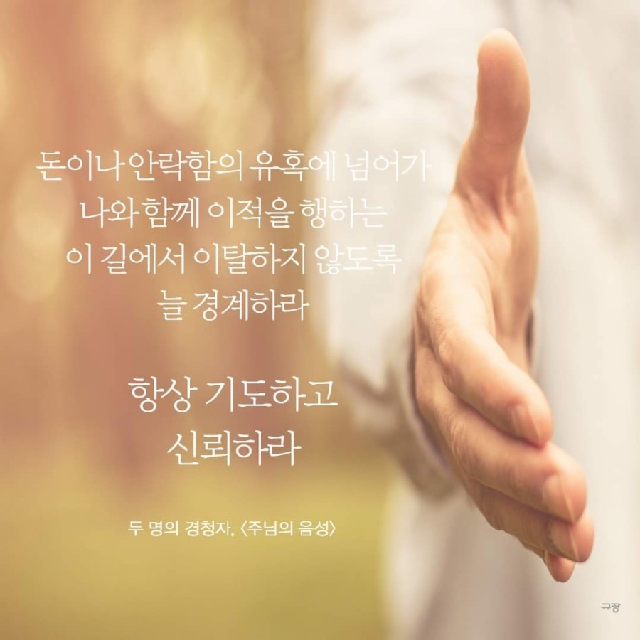 실로 이미지