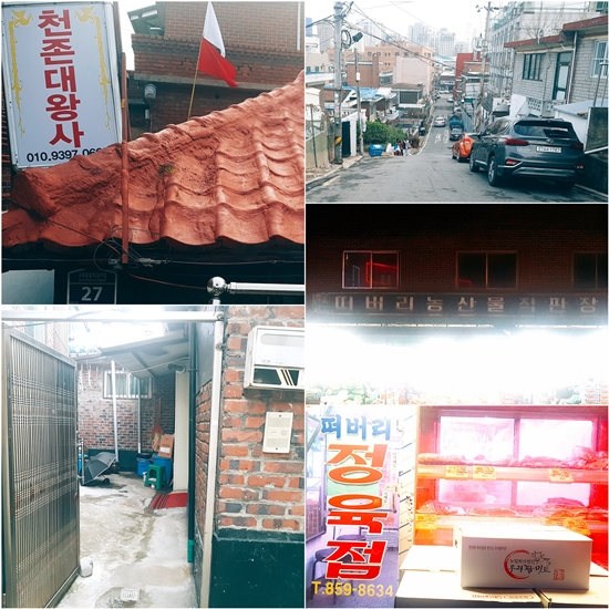 떠버리정육점 이미지