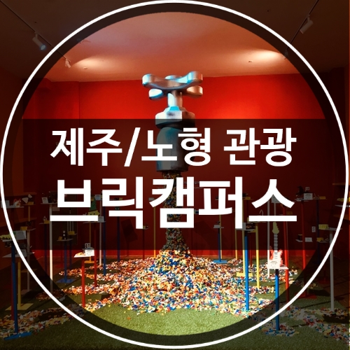 블럭세상제주 이미지