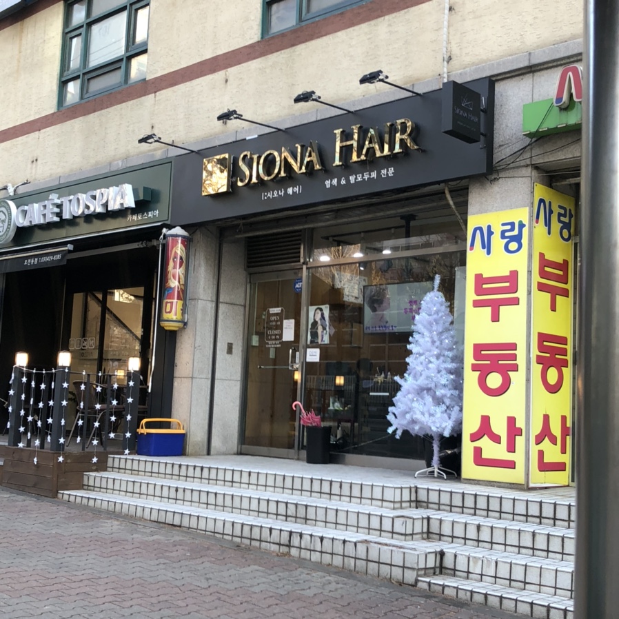 시오나헤어 이미지